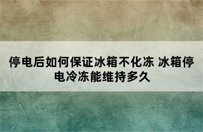 停电后如何保证冰箱不化冻 冰箱停电冷冻能维持多久